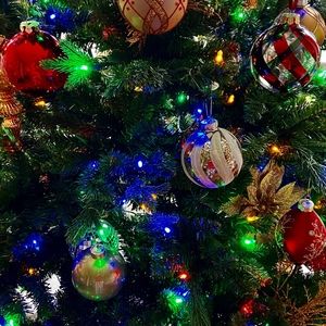 Meet your Posher, Cecile